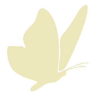 Mariposa-Arena