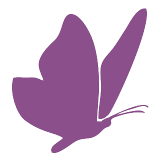 Mariposa-Violeta