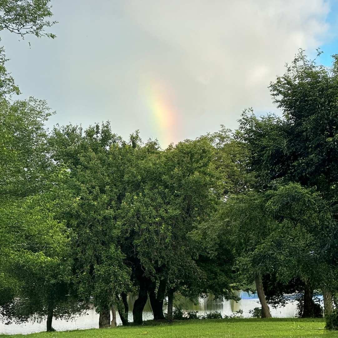 El sentido de la Vida