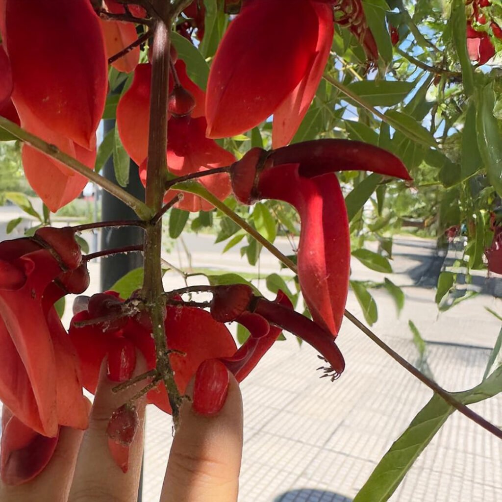 El sentido de la Vida